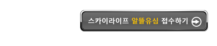 KT스카이라이프 알뜰유심 접수하기